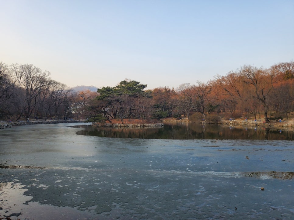 그린기프트서울 이미지
