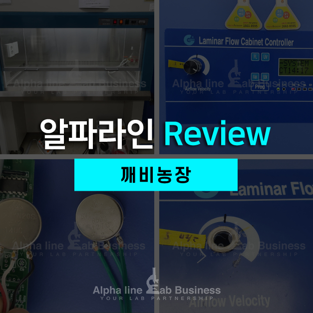 법인깨비농장 이미지