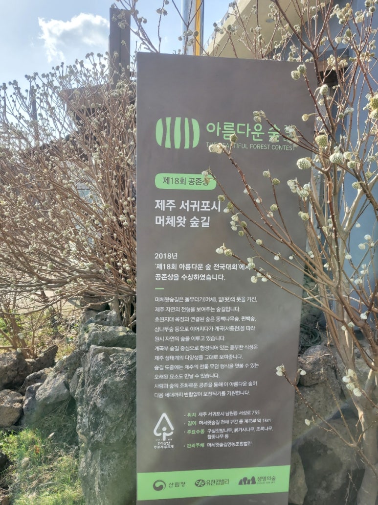 하눌타리식당 사진 2