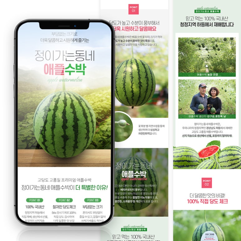 수디크 이미지