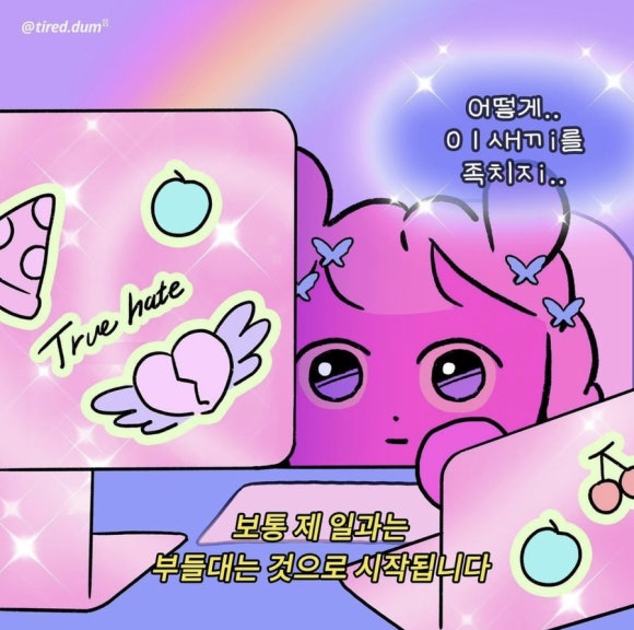 정항우케익 이미지