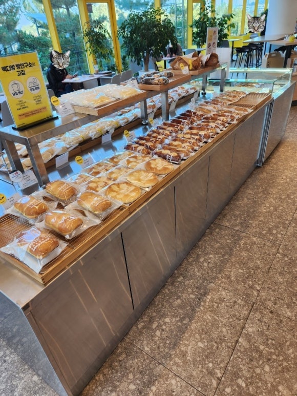 빽다방전주 이미지