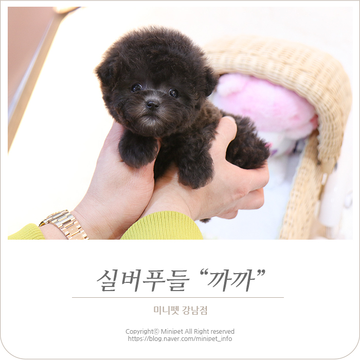 더까까365 이미지