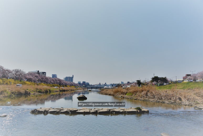 충북이용원 이미지