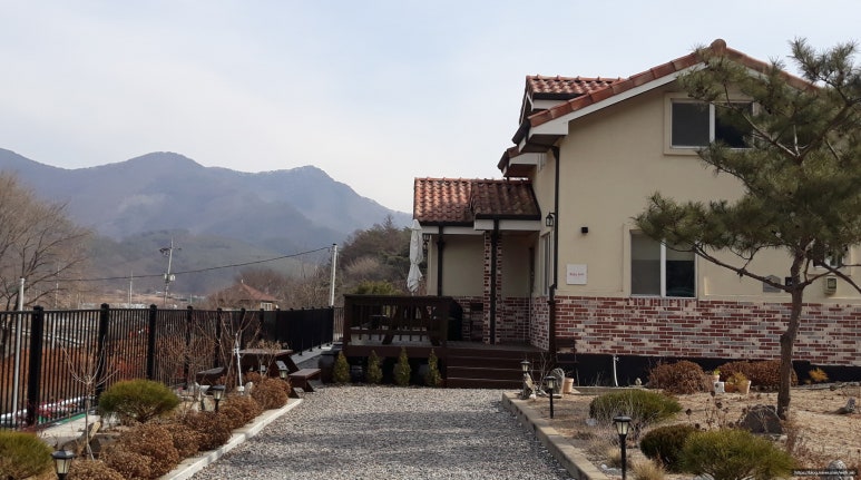 스테이브릴 이미지