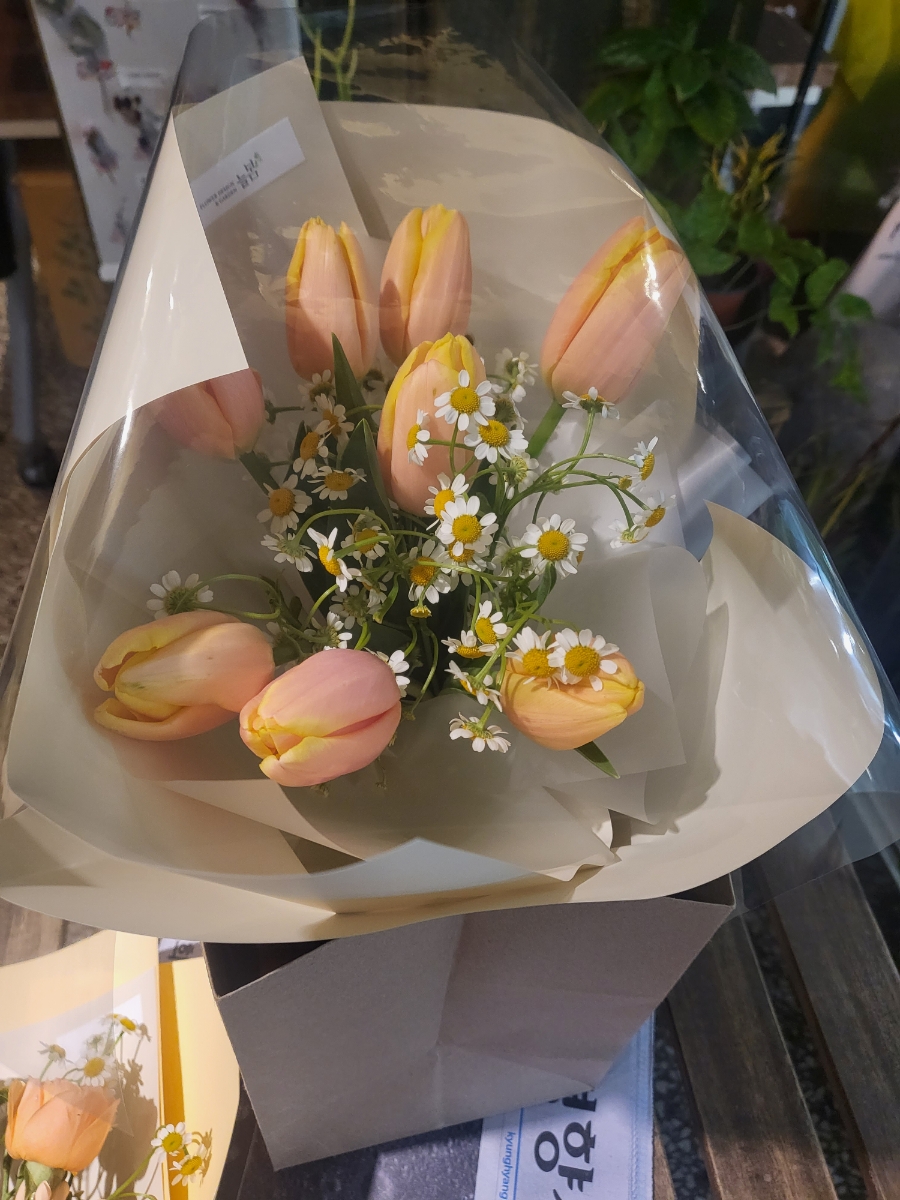 Flower늘봄 이미지