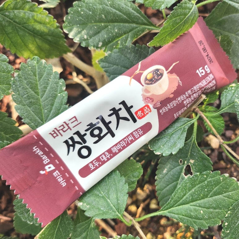 월드씨앗건강 이미지