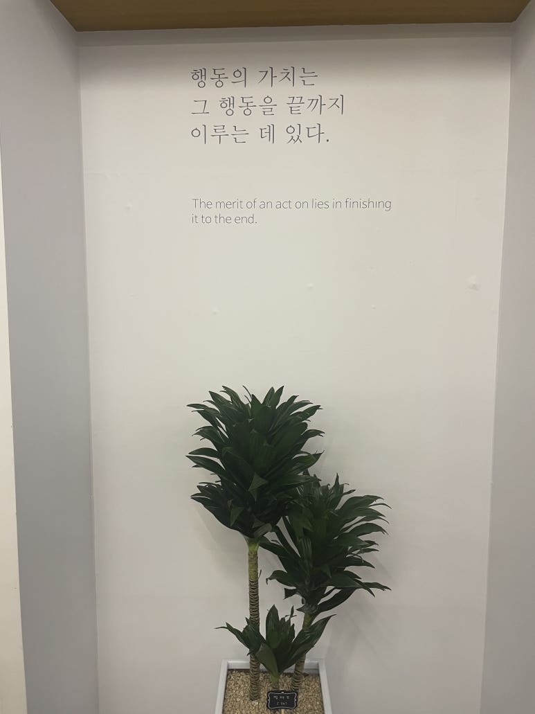 화이트펜슬 이미지