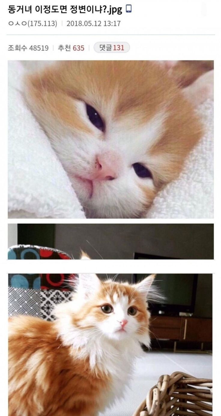 짚모텔 이미지