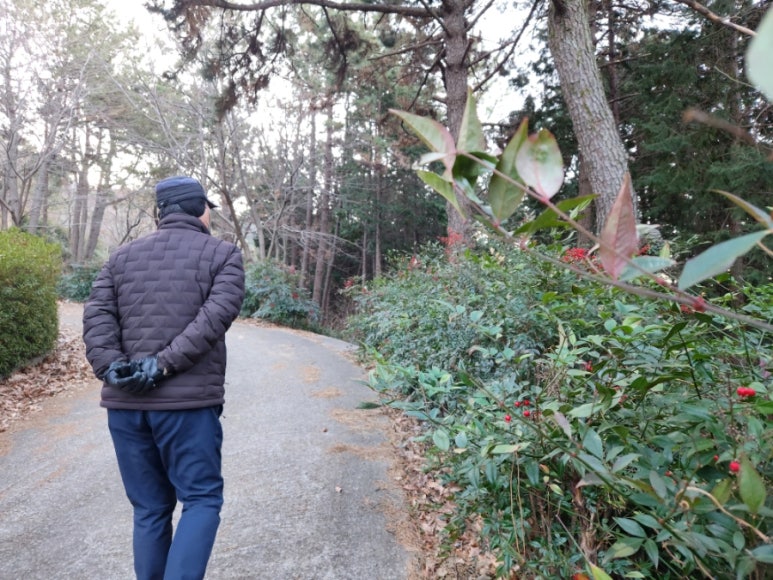 남파랑길 8코스 이미지