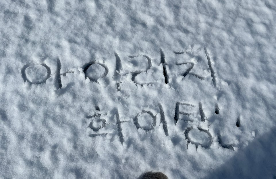 아이리치베이커리 이미지