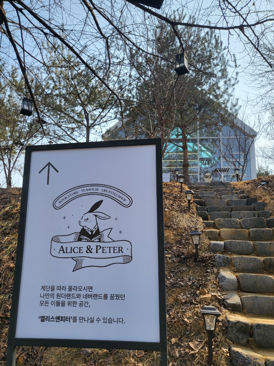 앨리앤앨리스 이미지