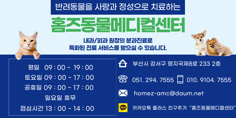 강서메디칼서비스 이미지