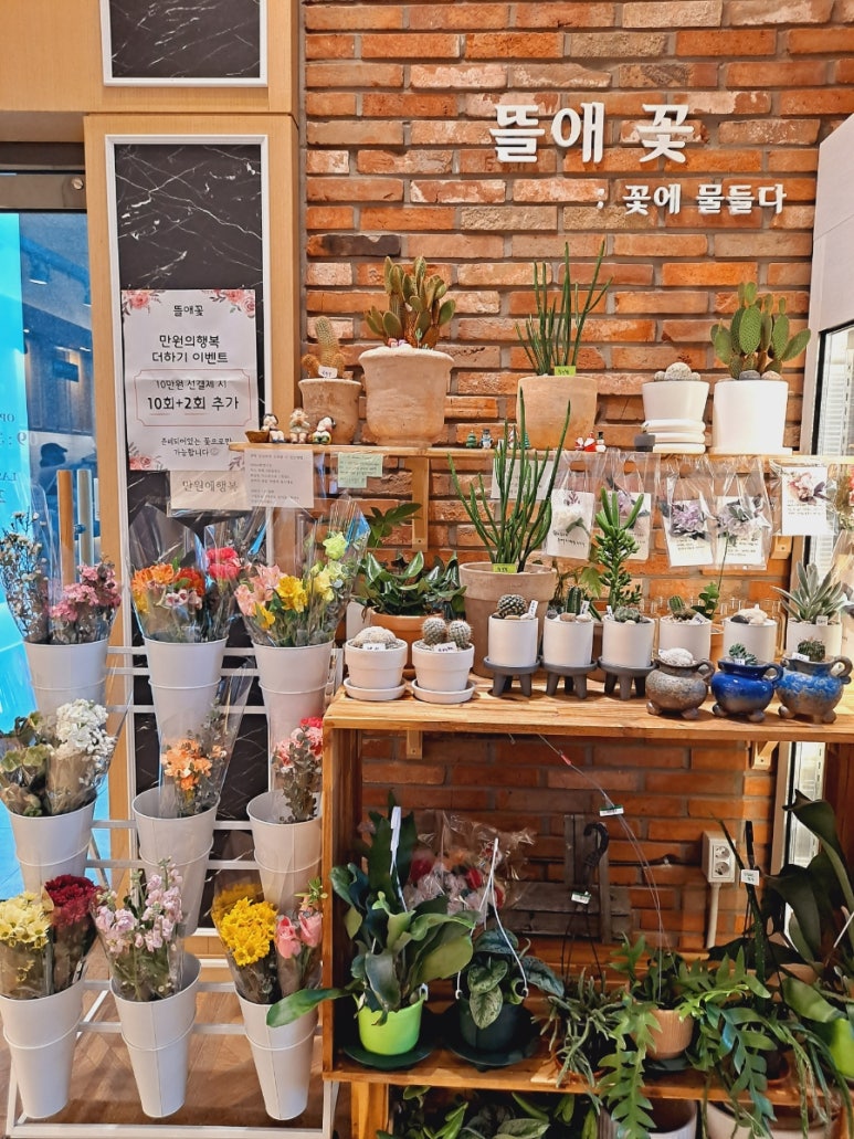 뜰애꽃 이미지