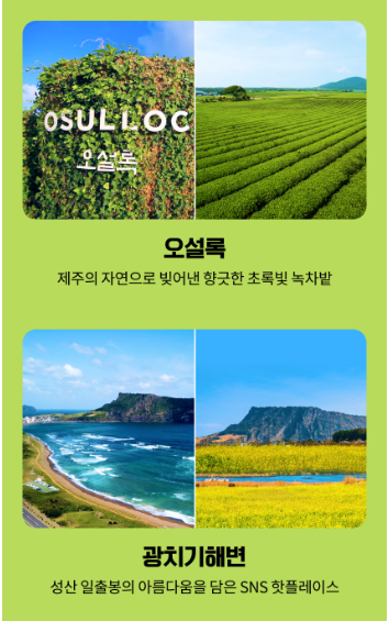 NS투어 이미지