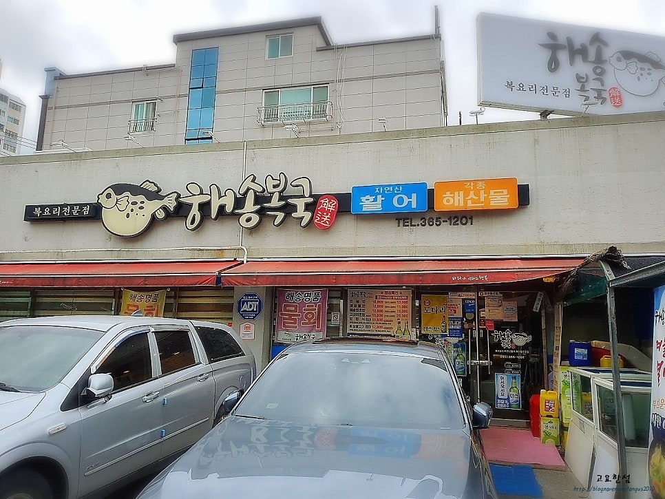 해송복국복요리 이미지