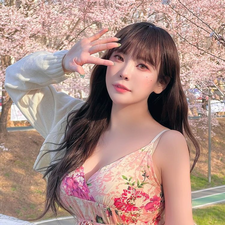 (주) 다미 이미지
