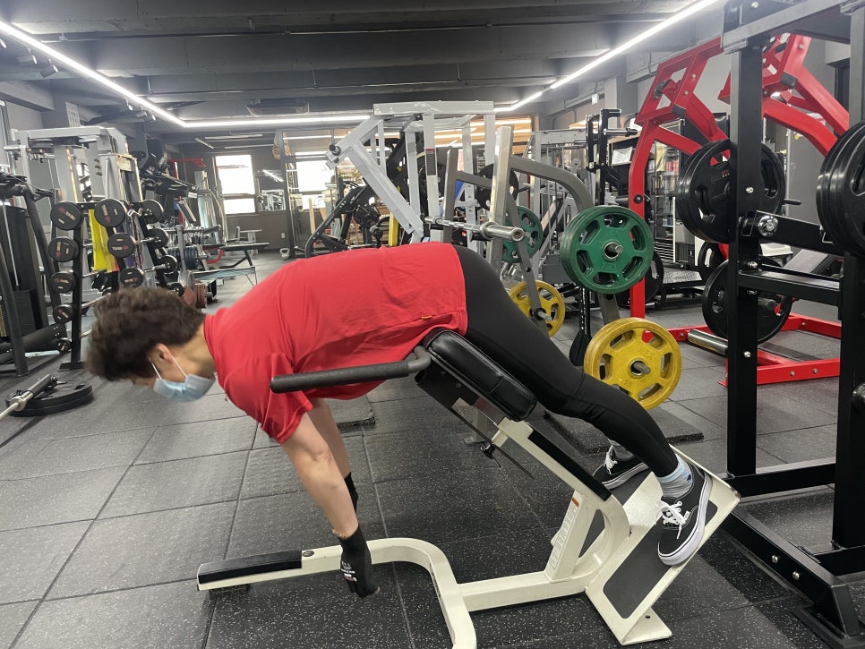 타이거파라다이스짐 이미지