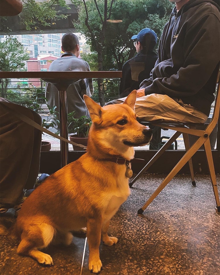 카페190 이미지