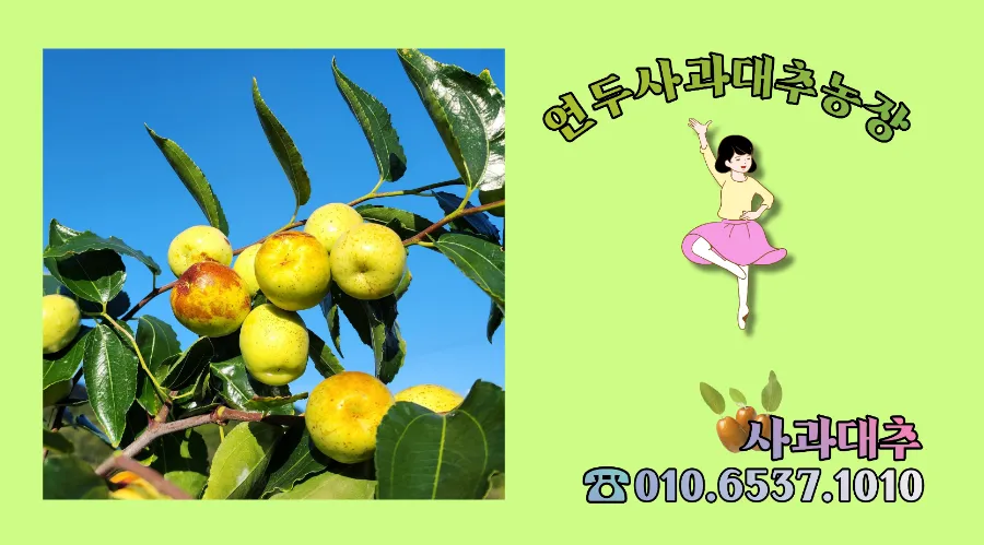 월광미용실 이미지