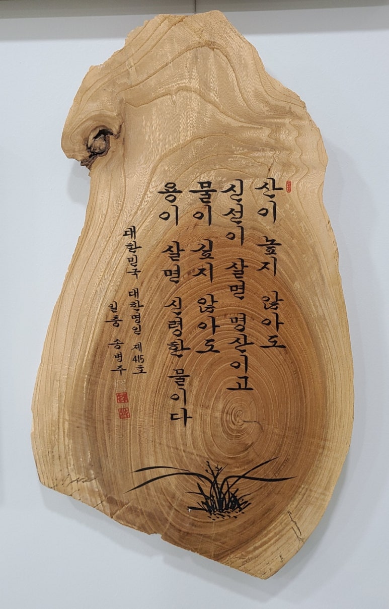 대한명인글씨교정 이미지