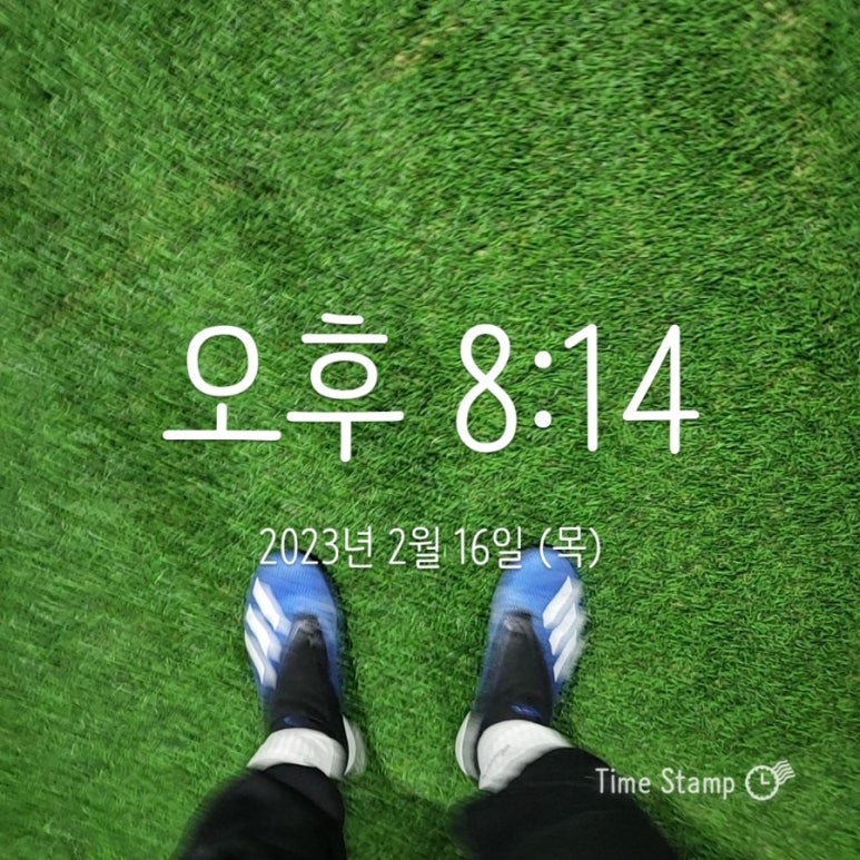 킥캣 이미지
