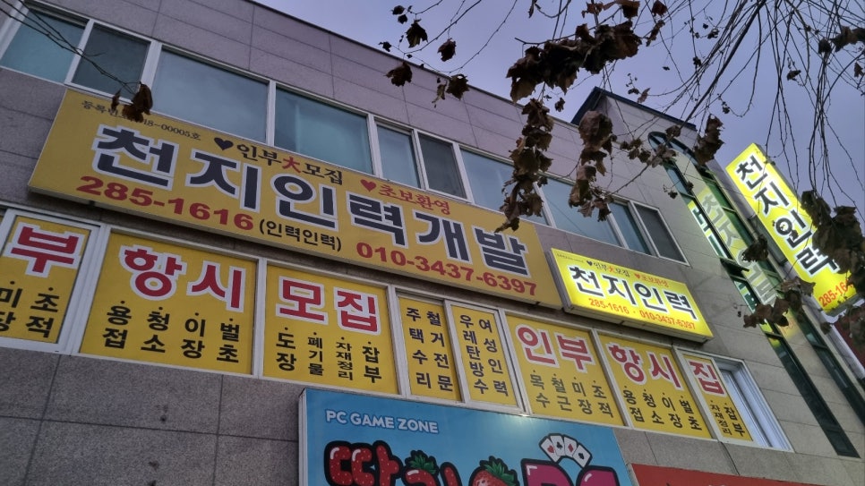 천지인력 이미지