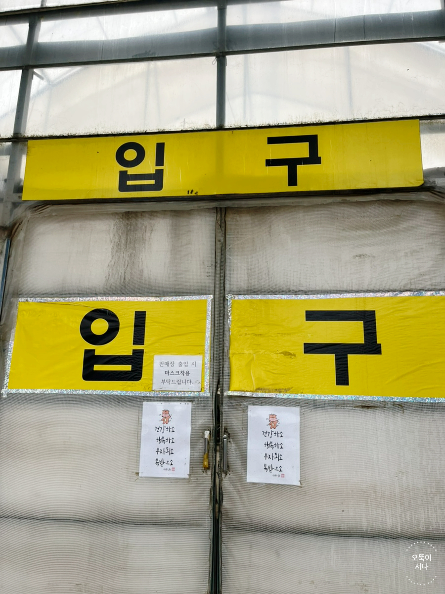 미래꽃화분 이미지