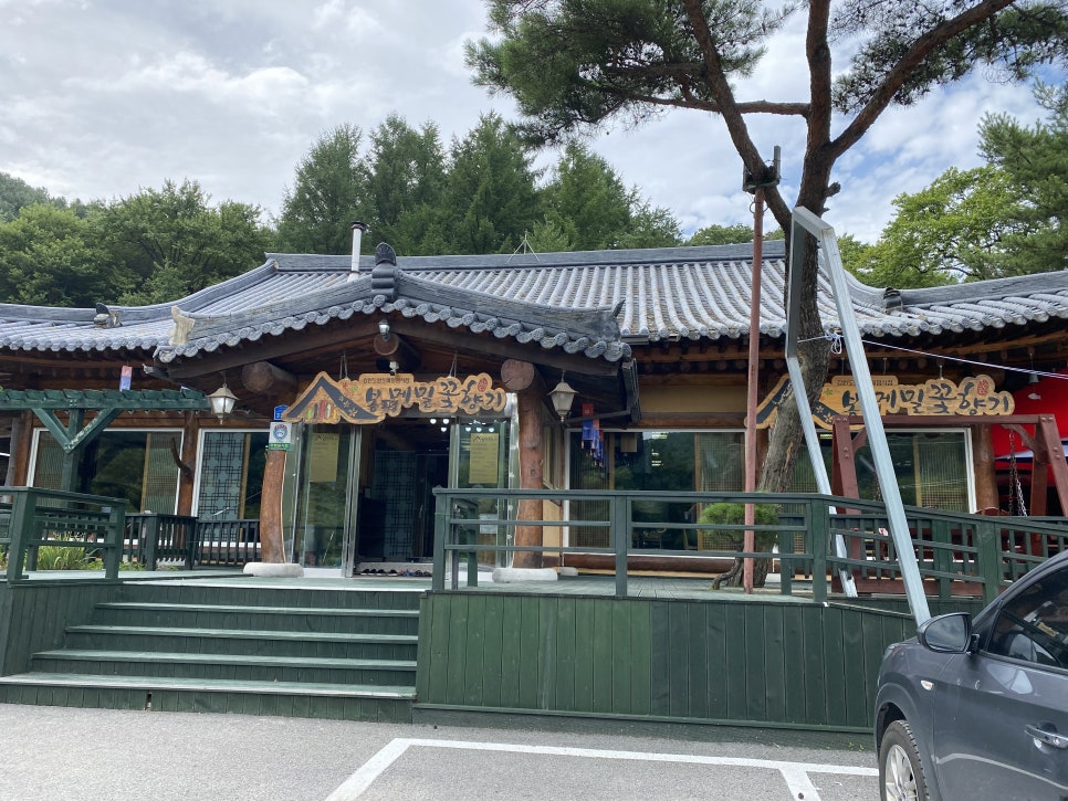 황제메밀 이미지