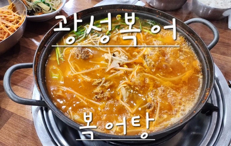 광성복어 이미지