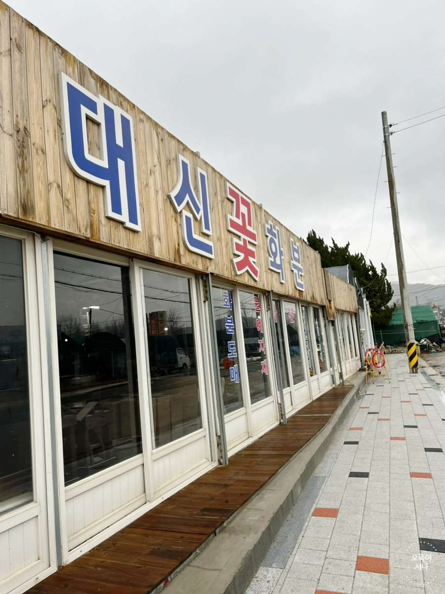 미래꽃화분 이미지