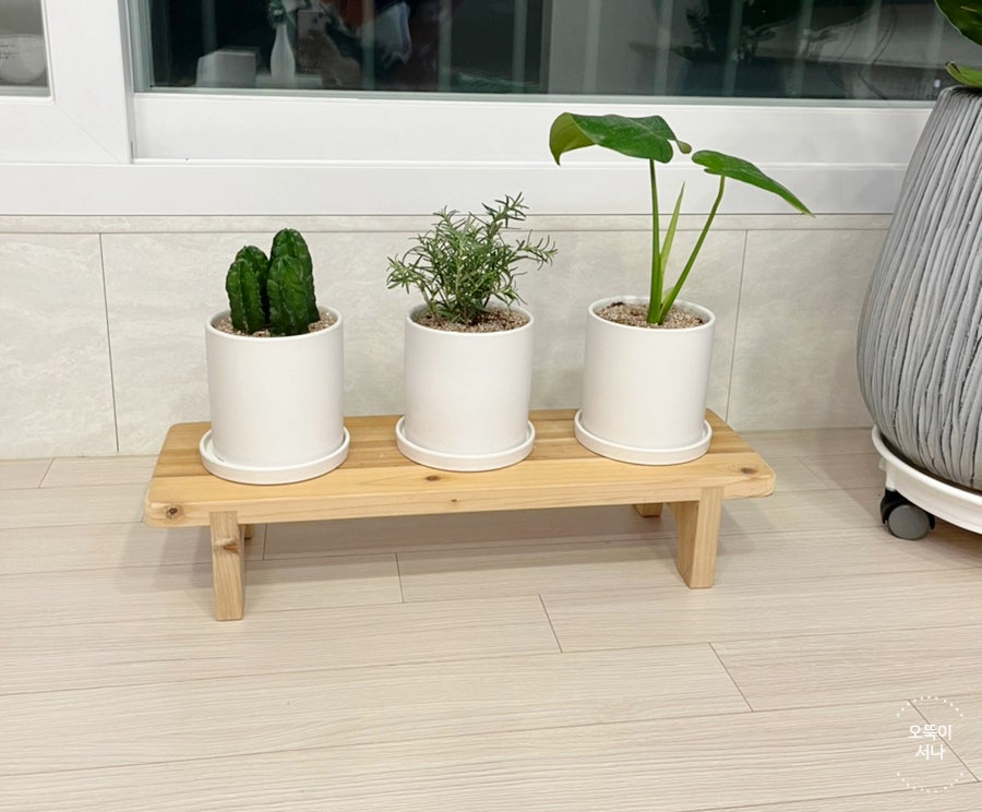 미래꽃화분 이미지