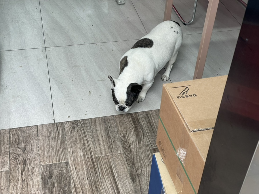 차곰차곰 이미지