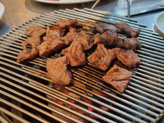 왕릉갈매기 이미지