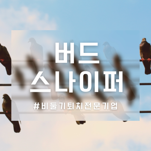 청소스나이퍼 이미지