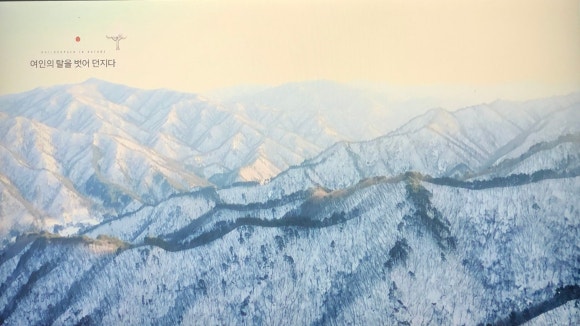 세쌍둥이네풀꽃세상 이미지