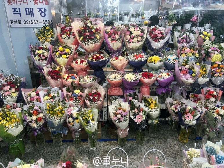 강남꽃직매장 이미지