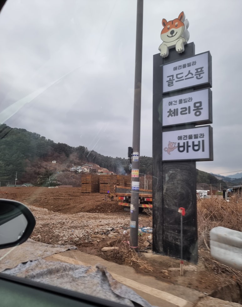 체리몽애견풀빌라 이미지