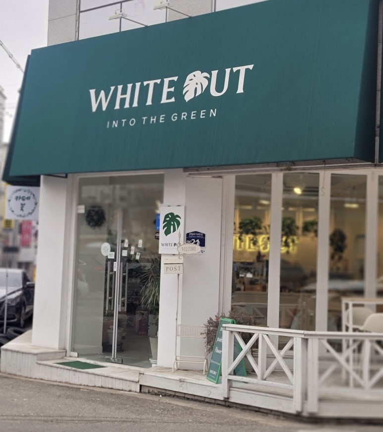 인투그린 이미지