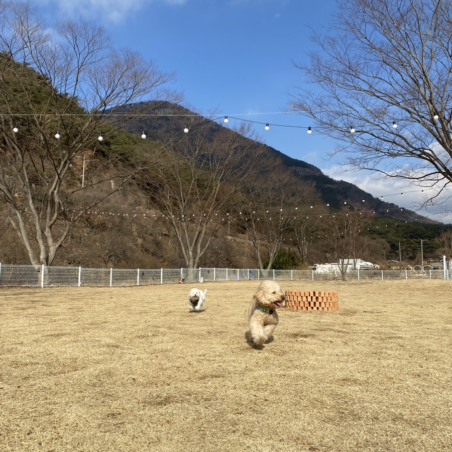 감동식 이미지