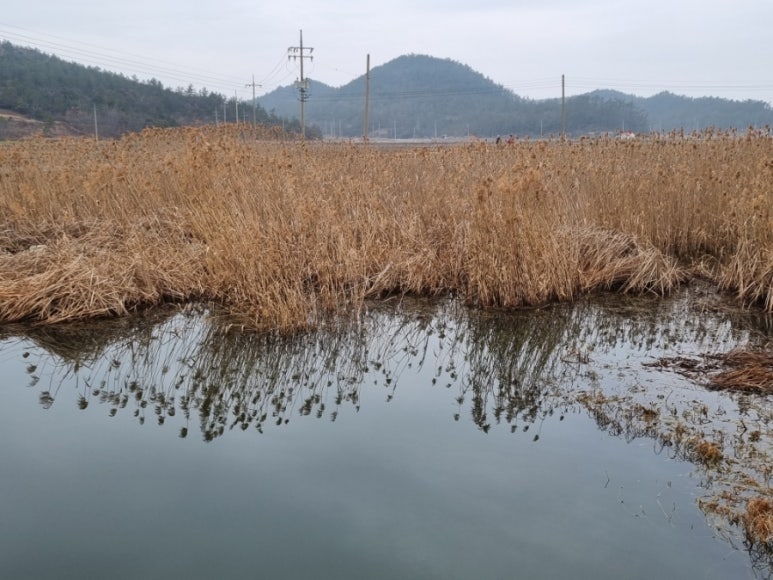 서해랑길 2코스 이미지
