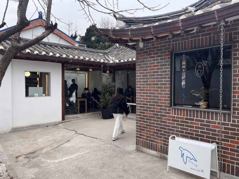 디터틀 이미지