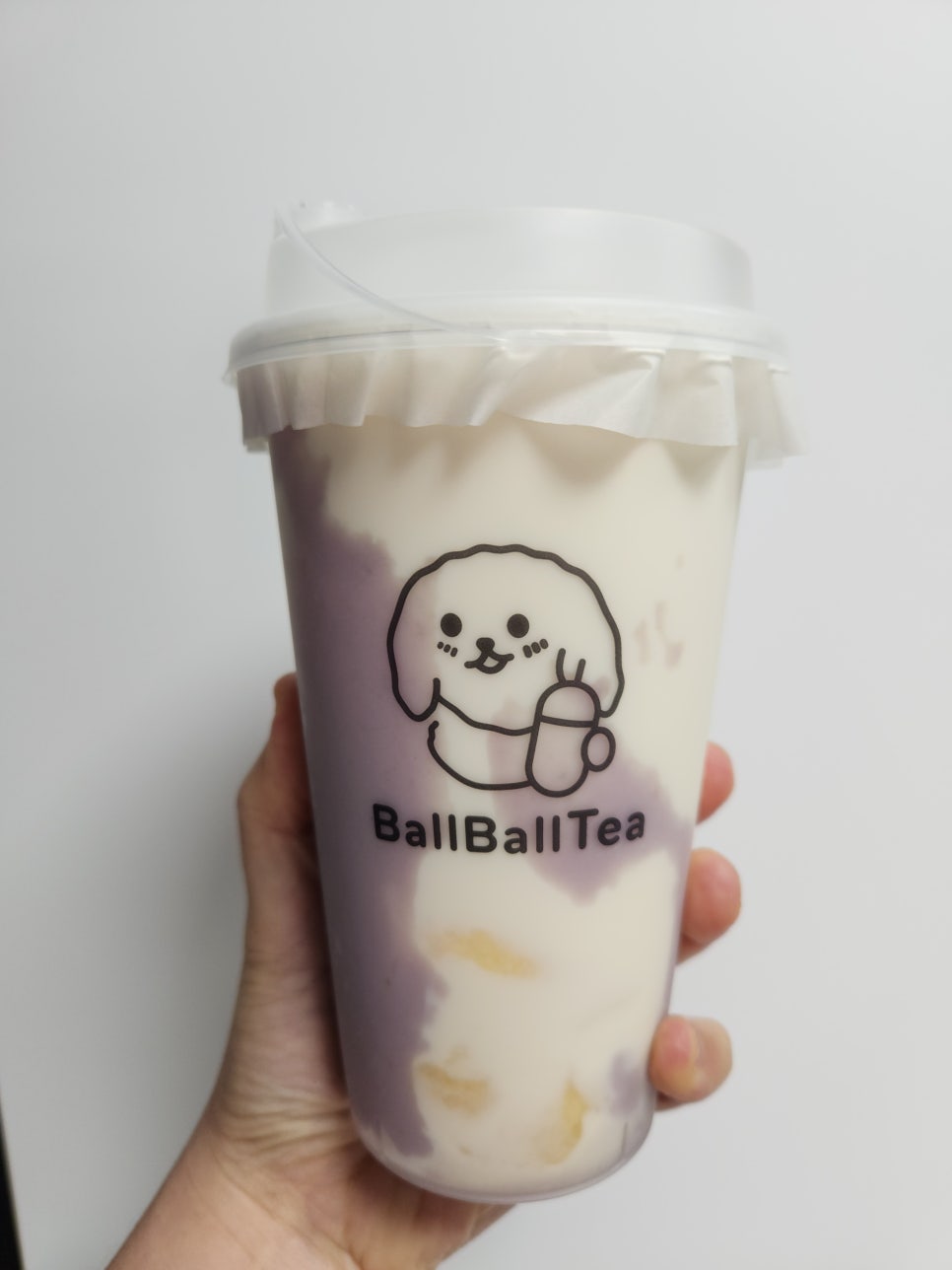 볼볼티 이미지