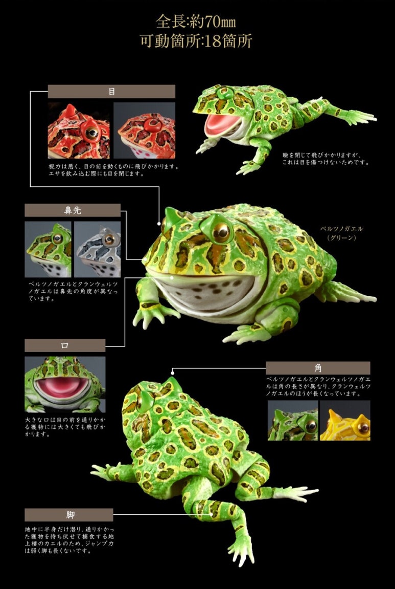 카에루 이미지