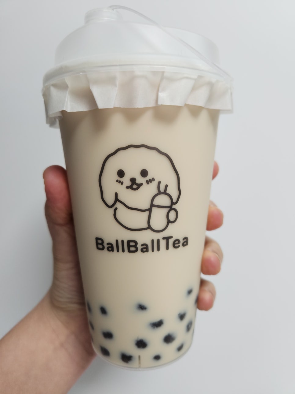 볼볼티 이미지