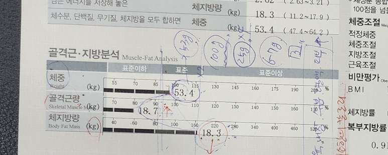 선희야식 이미지