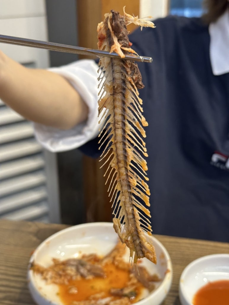 메기대감 이미지