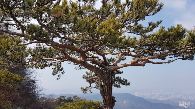 과천성당 이미지