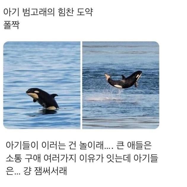 그린세상 이미지