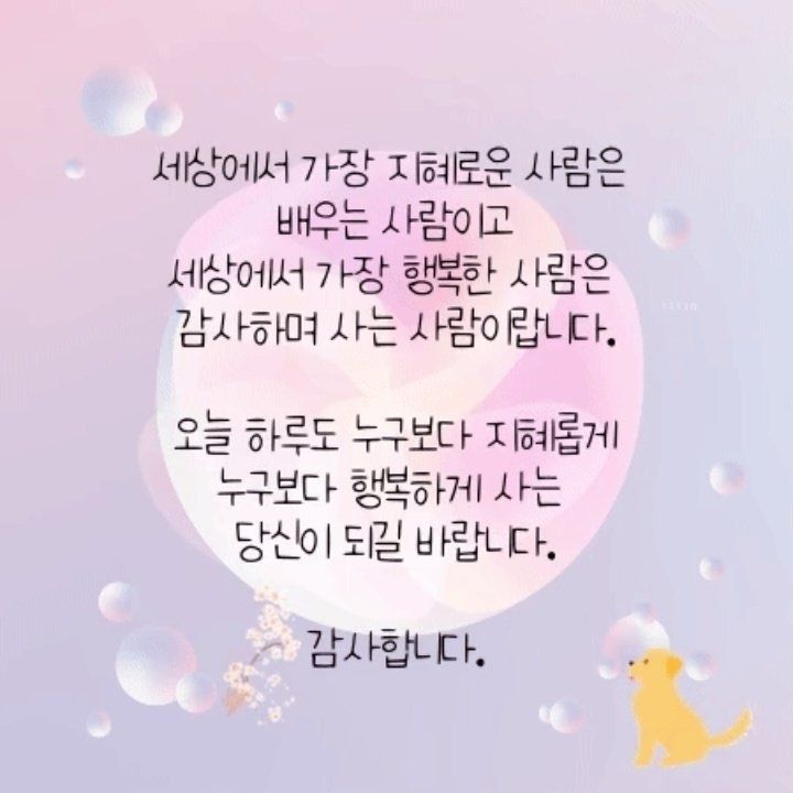 세계로법무사 이미지